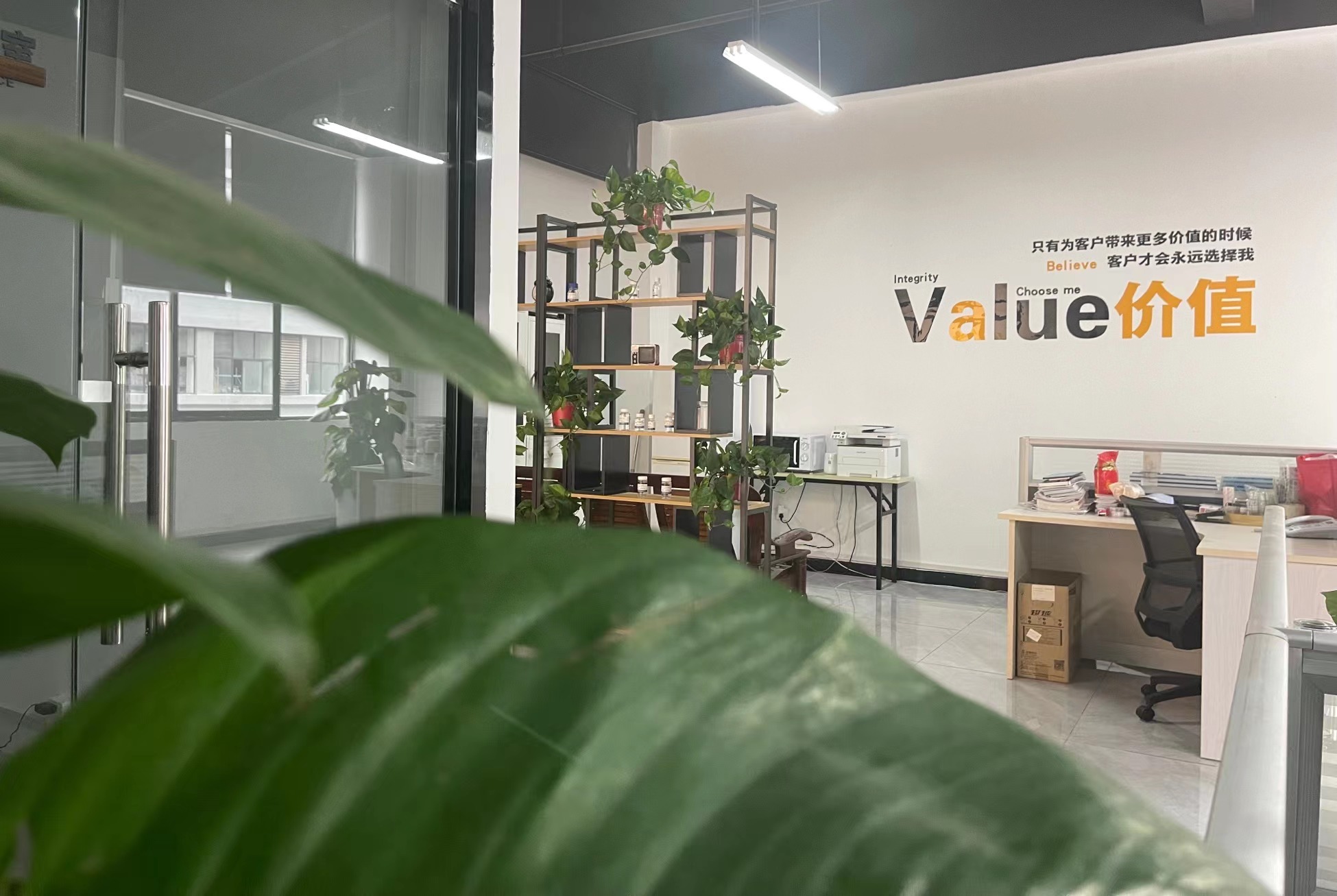 Modern Office Working Area